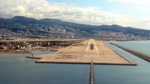 كيف بتكش النورس!