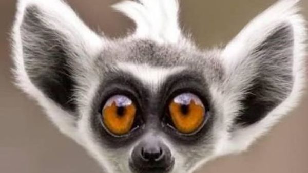 انا متفاجيء..