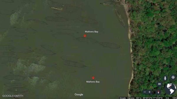 ظهر "الأسطول الشبح" من السفن الخشبية إلى العيان
