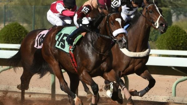 Horse racing at Riyadh's King Abdulaziz Racetrack is one of the few diversions in Saudi Arabia. (AFP)

