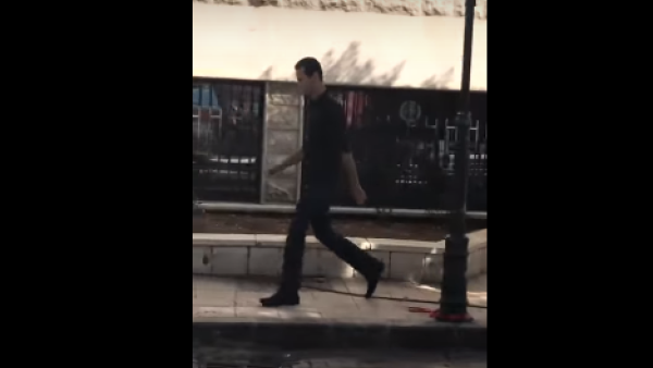 الأسد يسير وحيدا 