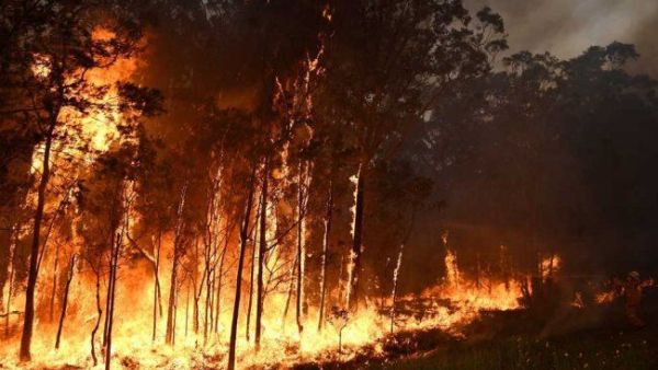 مقتل 5 أشخاص في حريق غابات ضخم بولاية كاليفورنيا