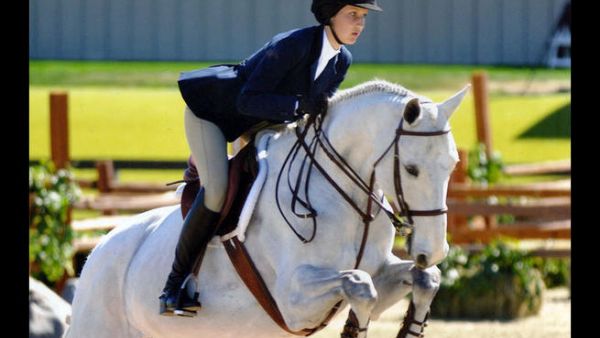 Bella won't be able to compete in equestrian events at the 2016 Olympics due to Lyme Disease. (File photo)