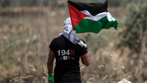 Palestinian youth waving the national flag (AFP/File Photo)	