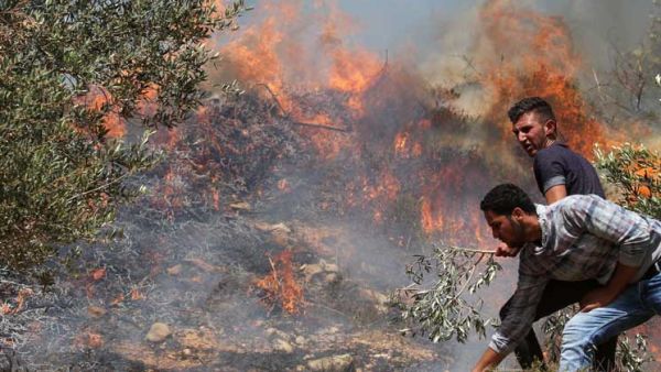 إصابة فلسطينيين خلال مواجهات مع جيش الاحتلال في جنين