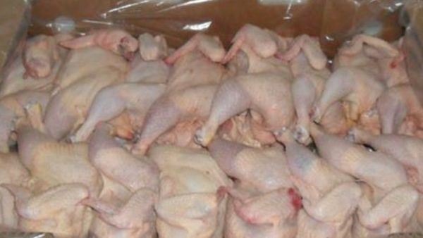 قوات من الجيش احتجزت أعضاء النيابة ومنعتهم من الدخول إلى مقرات تخزين الدجاج المجمد 