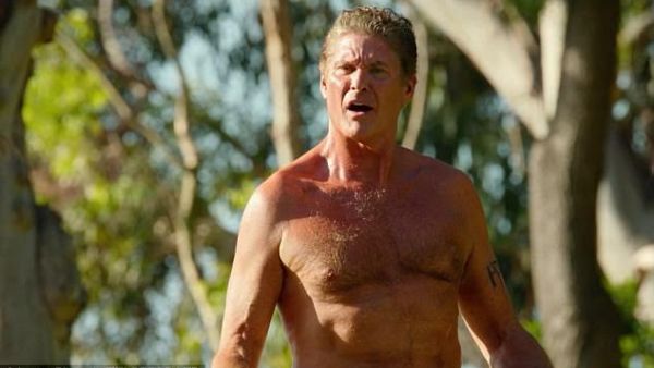 ديفيد هاسلهوف