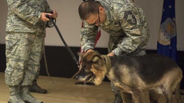 قال التقرير إن عدة جنود بحثوا عن كلابهم وأنقذوها من بيوت الكلاب التابعة للجيش 
