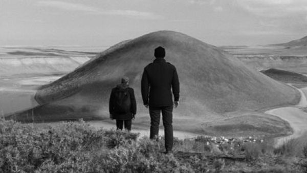 مؤسسة الدوحة للأفلام