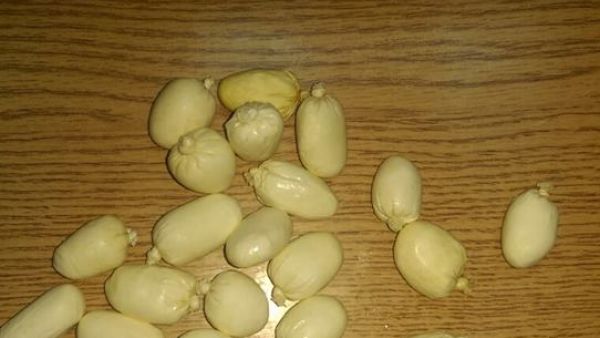 27 كيس مخدرات في احشاء مسافر بمطار الملكة علياء بالاردن
