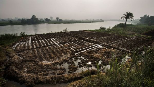 Sudan has banned all agricultural and animal product imports from Egypt amid growing tensions between the two countries. (Gianluigi Guercia/ AFP)