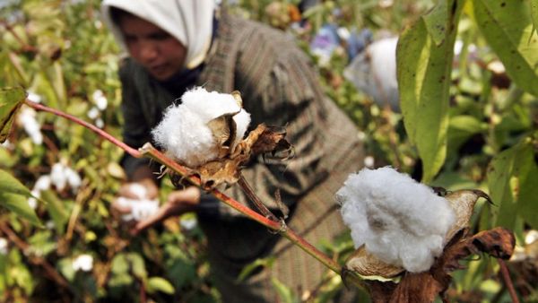 Egypt has reported a decline in the unemployment rate during the first quarter of 2017, to reach 12 percent of the total labor force, compared to 12.7 percent in the first quarter of 2016, with youth (15-29 year-olds) making up 79 percent of the total unemployed ratio. (AFP)