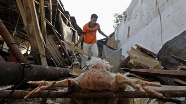 Gaza raid