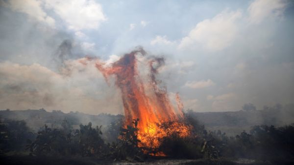 سلسلة حرائق في مستوطنات محيط قطاع غزة