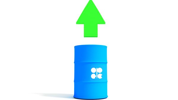 بعد اتفاق أوبك التاريخي أسعار النفط ارتفعت بنسبة 13%
