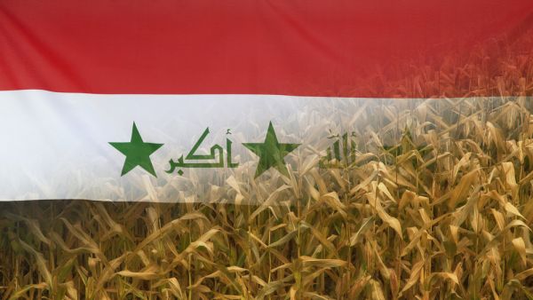 العراق تحظر 8 محاصيل صيفية بعد أزمة المياه   