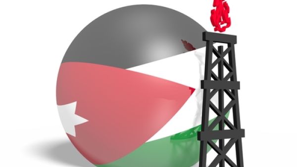 يهدف المشروع إلى توفير سعات تخزينية للمشتقات النفطية (الديزل، البنزين، وقود الطائرات) تبلغ نحو 340 ألف طن بالإضافة إلى سعات تخزينية لمادة الغاز البترولي المسال تبلغ نحو 10 آلاف طن، وبتكلفة 771 مليون درهم (210 ملايين دولار)