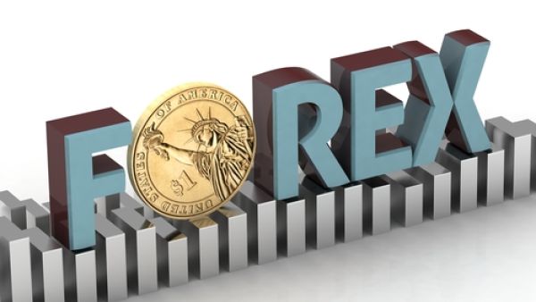 تواجه منطقة الخليج استهدافا من قبل شركات غير مرخصة تقدم خدمات التداول في تجارة العملات على اختلاف أنواعها رغم ما تواجهه من مراقبة البنوك المركزية المسؤولة عن النشاط المالي