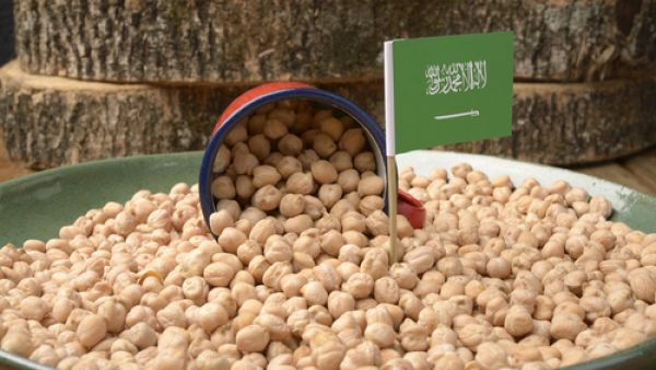 تأمين احتياجات المملكة من الحبوب يأتي من الخارج إما عن طريق الاستيراد من الأسواق العالمية أو من الاستثمارات الزراعية السعودية في الخارج