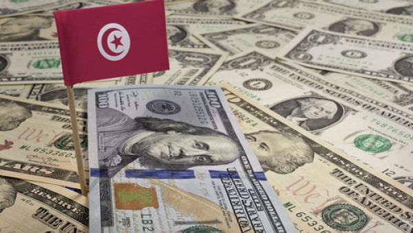 تمّ التخفيض في حجم الميزانية العامة للدولة بما قدره 1900 مليون دينار تونسي (900 مليون دولار)