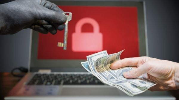 أطلق باحثون من شركات متعددة اسم "بيتيا" Petya على برمجية انتزاع الفدية