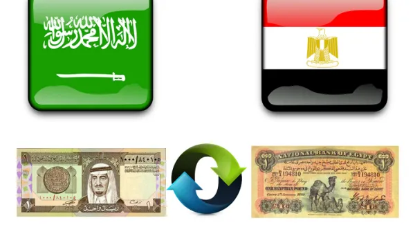 بلغ حجم التبادل التجاري بين السعودية ومصر أكثر من 5 مليارات دولار في العام الماضي، متوقعا زيادته في عام 2015