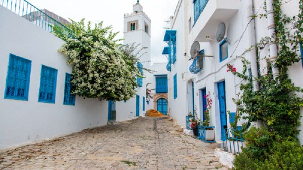 الأسواق السياحية الجديدة لا تكتفي بسياحة البحر