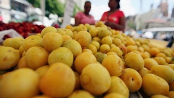 ان القطاع الزراعي لا يتحمل المزيد من الخسائر