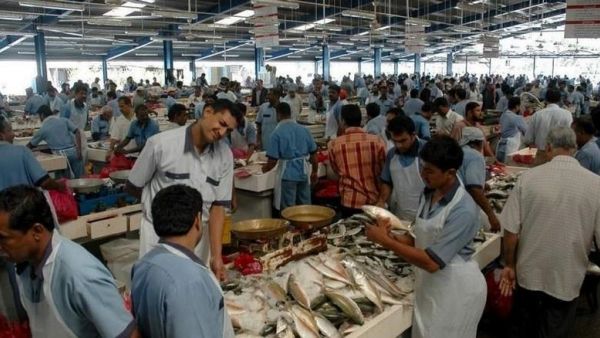 الإماراتيين والمقيمين الذين لا يستطيعون الذهاب إلى سوق السمك، يمكنهم شراء أي نوع من الأسماك يرغبون في الحصول عليها من خلال هذا التطبيق