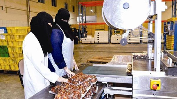 يشمل قطاع الصناعات الغذائية عديدا من الأنشطة الصناعية حسب التصنيف الدولي للأنشطة الصناعية؛ منها: تجهيز وحفظ اللحوم ومنتجاتها، تجهيز وحفظ الأسماك والمنتجات السمكية