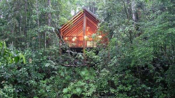 The Canopy Rainforest Treehouses: يقع في أستراليا، وهي منازل أشجار مصنوعة من جذوع الأشجار، تحتوي الشاليهات على سبا مزدوج، مدفأة خشبية، سرير ملكي ومكان للشواء