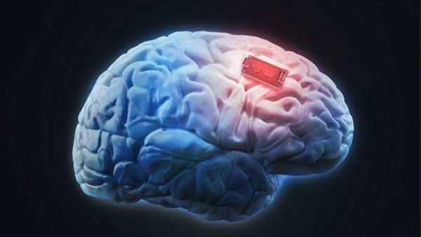 يعمل الجهاز الجديد عن طريق توجيه صدمات كهربائية محدودة إلى منطقة "الحصين"، وهي مركز الذاكرة والتعلم داخل مخ الانسان