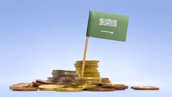 "الرؤية المستقبلية  للسعودية" ستشمل عديدا من البرامج التنموية والاقتصادية والاجتماعية وغيرها من البرامج