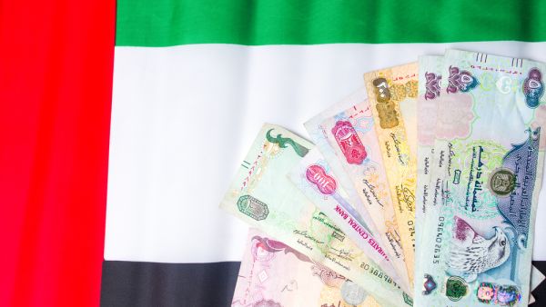 الإمارات تستحوذ على حصة بنسبة %26.2 من الاستثمار الأجنبي عربياً