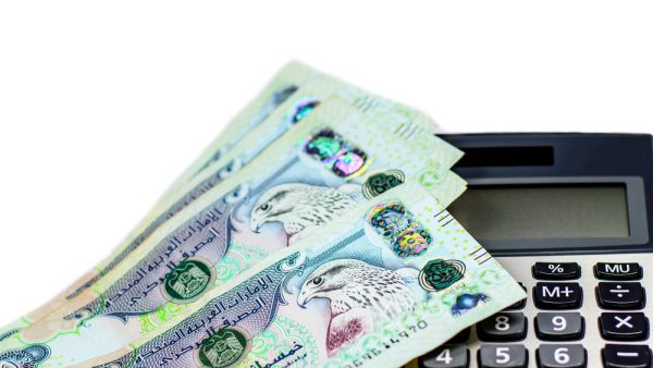 الثقة تزداد بجودة أداء اقتصاد الإمارات في 2019