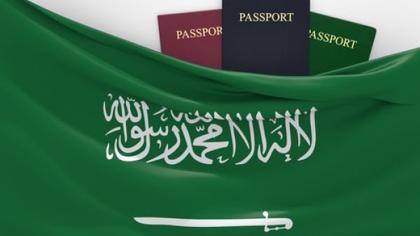 ارتفعت التأشيرات التي منحتها وزارة العمل لاستقدام العمالة الأجنبية للقطاع الحكومي خلال العام الماضي