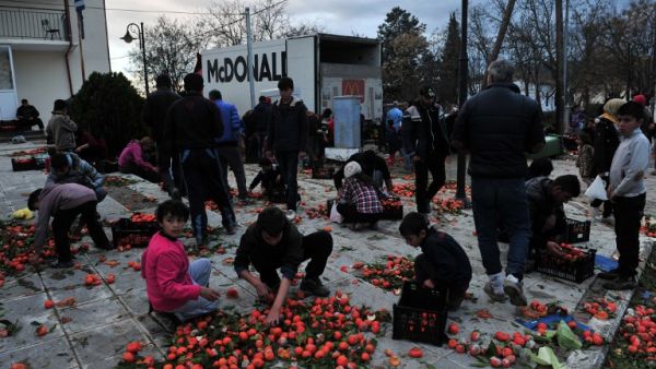 Migrants pick edible tangerines from the ground at the Greek-Macedonian border near the Greek village of Idomeni on March 11, 2016, where thousands of refugees and migrants are trapped by the Balkan border blockade. (AFP/Sakis Mitrolidis)