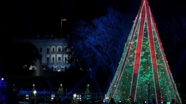 Christmas Tree of White House (Twitter)