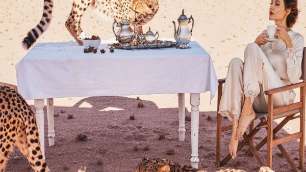 أنجلينا جولي في صحراء ناميبيا على غلاف مجلة  Harper's Bazaar