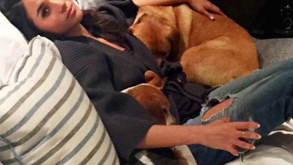 ميغان ماركل