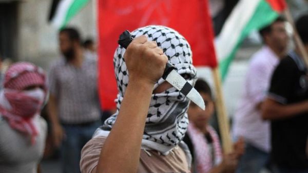 الهبة الشعبية الفلسطينية