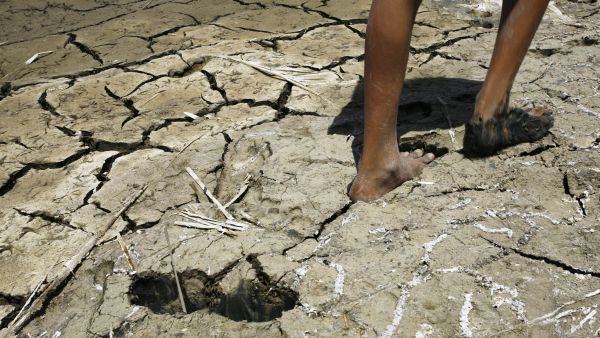 A man walks through dried-up marshland in southern Iraq - just one of the many disputed locations of the biblical garden of Eden.  Threatened by war and Daesh, Iraq's diverse religious sects continue to practice their faiths, remaining steadfast in their claims to the location of the garden. (AFP/File)