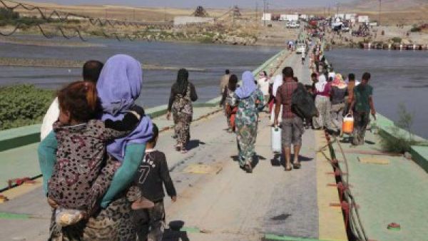 تقارير صحفية وناشطين ايزيديين تحدثوا عن قيام داعش بارتكاب جرائم بشعة