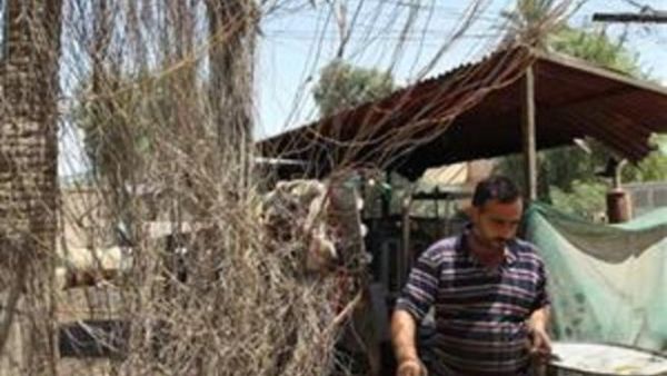 رجل يمر باسلاك موصلة بمولد محلي في بغداد
