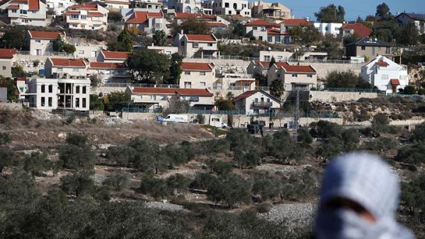 شددت المنظمات الدولية على أن الغرض من قاعدة البيانات هو أن تكون وثيقة حية يتم تحديثها دوريا 