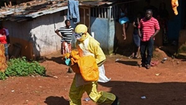 ارتفاع عدد وفيات إيبولا إلى 33 شخصا في جمهورية الكونغو
