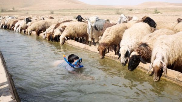 The reported ban might have been put in place due to increasing levels of chemical pesticide residues in Jordan's agricultural products. (AFP/ Menahem Kahana)