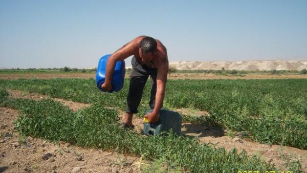 إيران:سنمضي في تخصيب اليورانيوم بكثافة