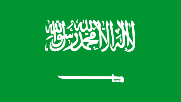 But while the Saudi government doesn’t have its head stuck in the sand, it isn’t clear that it is doing enough to tackle the country’s foreseeable financial problems