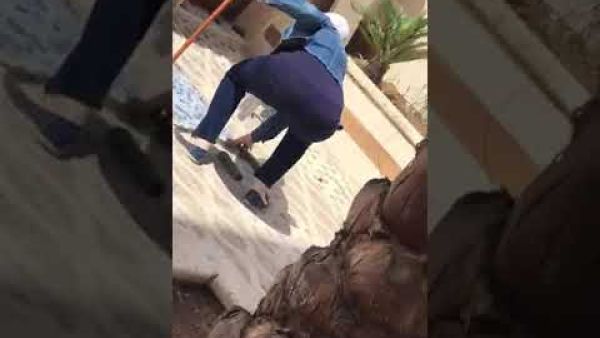 أردنية تحارب ثعبان